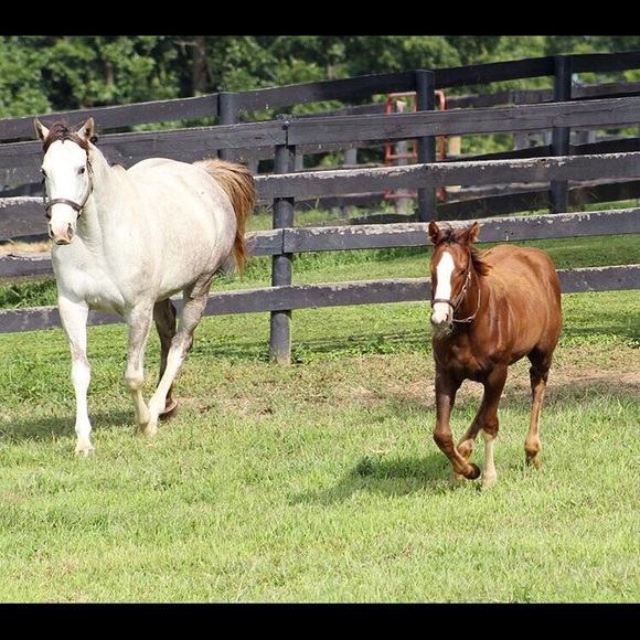 Meet your Posher, Rebecca - Picture 5 of 8